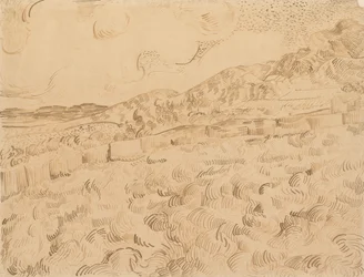 Das eingeschlossene Weizenfeld nach einem Sturm